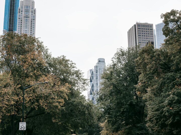 Central Park Simion Brnuiu